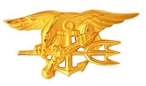BUD/S Preparation USN (12 week program) - RunLiftPerform.com