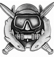 CDQC Combat Dive Qualification Course Preparation (12 week program) - RunLiftPerform.com