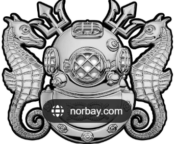 NAVY Diver Preparation (12 week program) - RunLiftPerform.com